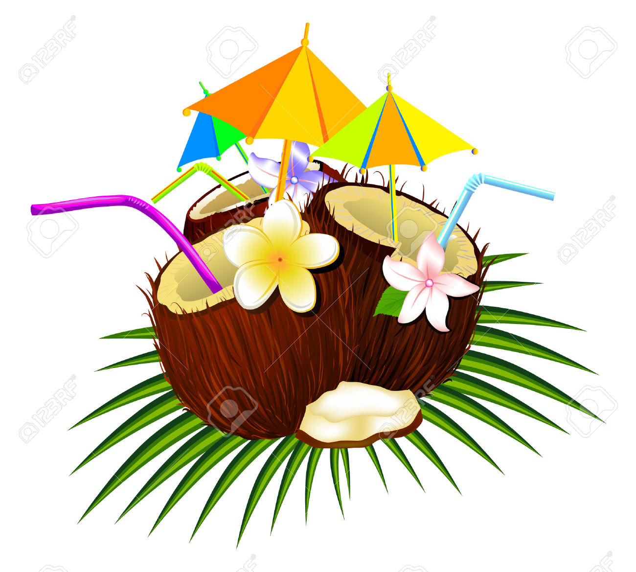 tiki clipart cocunut