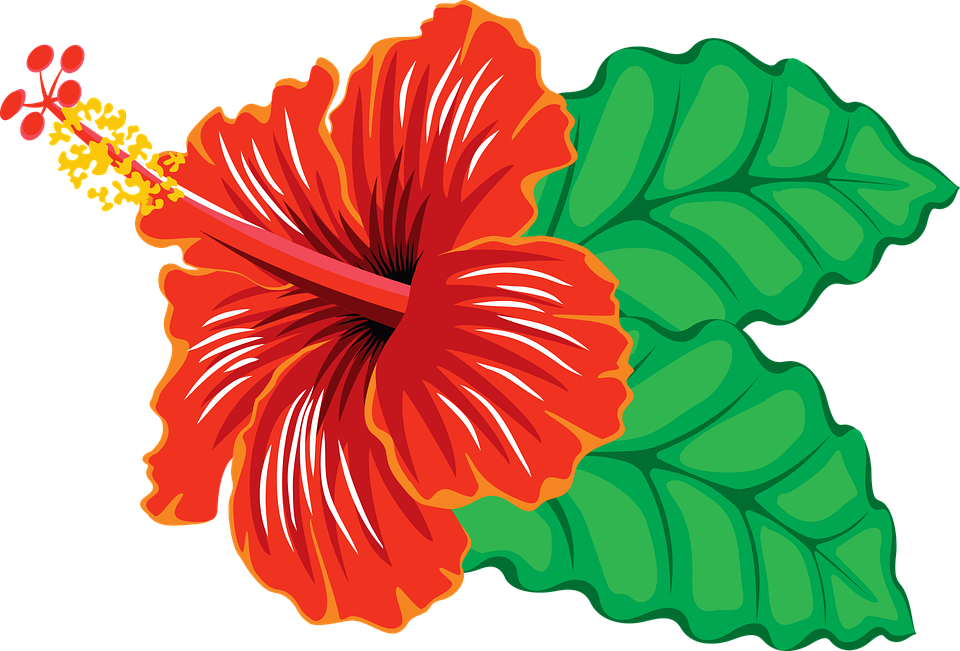 Tiki gumamela flower