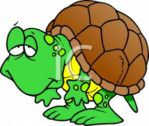 tired clipart turtle