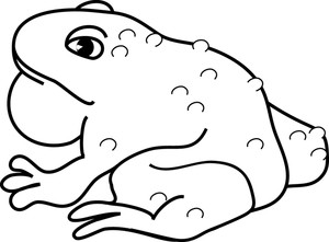 Toad clipart anima. Free image frog 