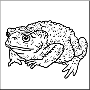 Common b w i. Toad clipart clip art