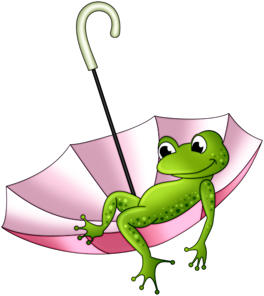 Toad clipart five. Pin by pam on