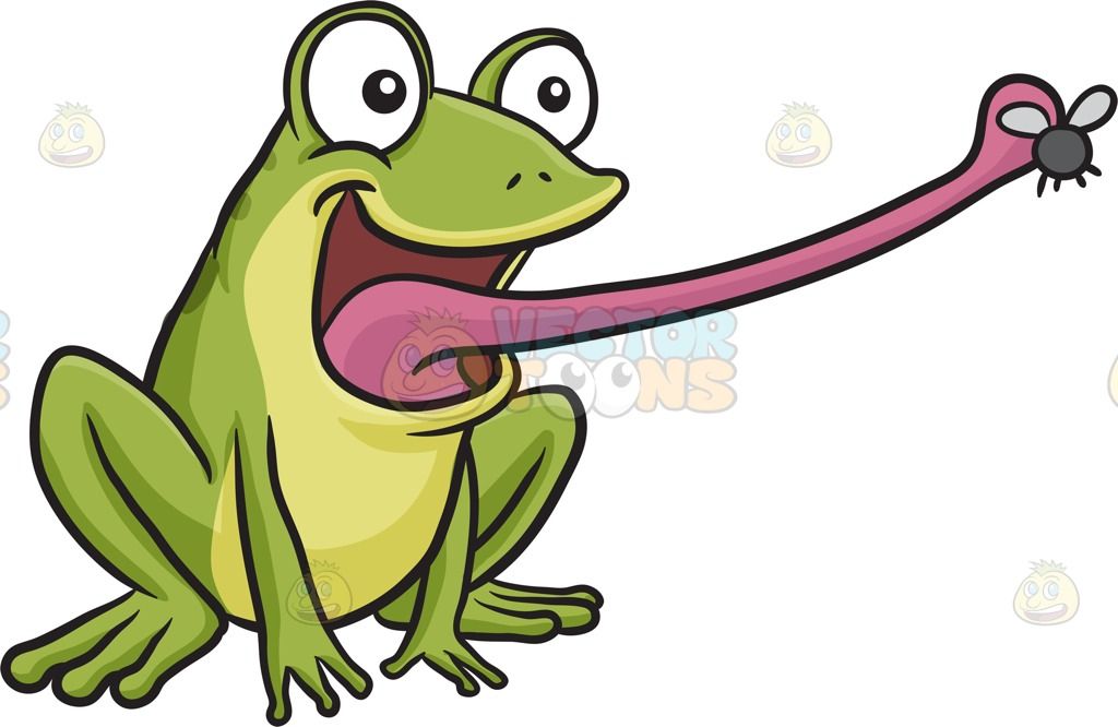 Toad clipart flies. A frog catching fly