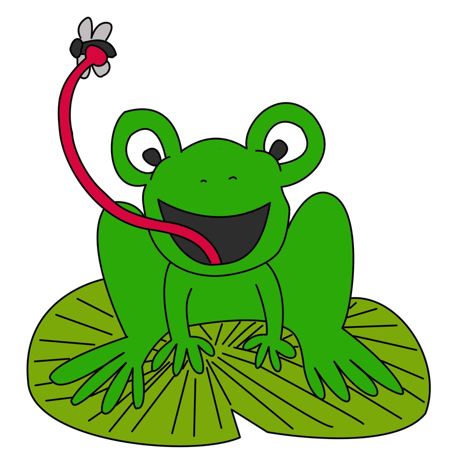 Download frog catching flying. Toad clipart flies