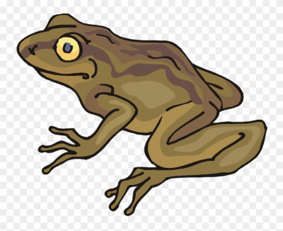 toad clipart froggy