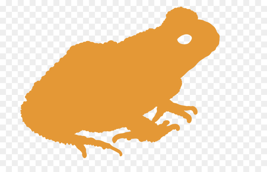 toad clipart orange frog