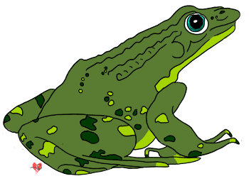 toad clipart realistic