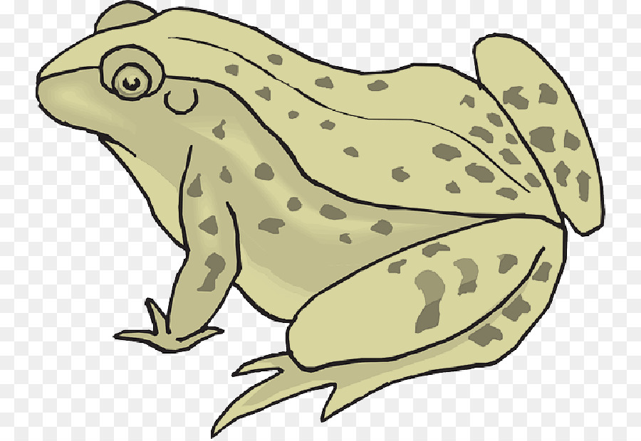 toad clipart yellow frog
