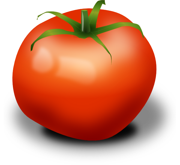 Tomato frames illustrations hd. Tomatoes clipart anaar