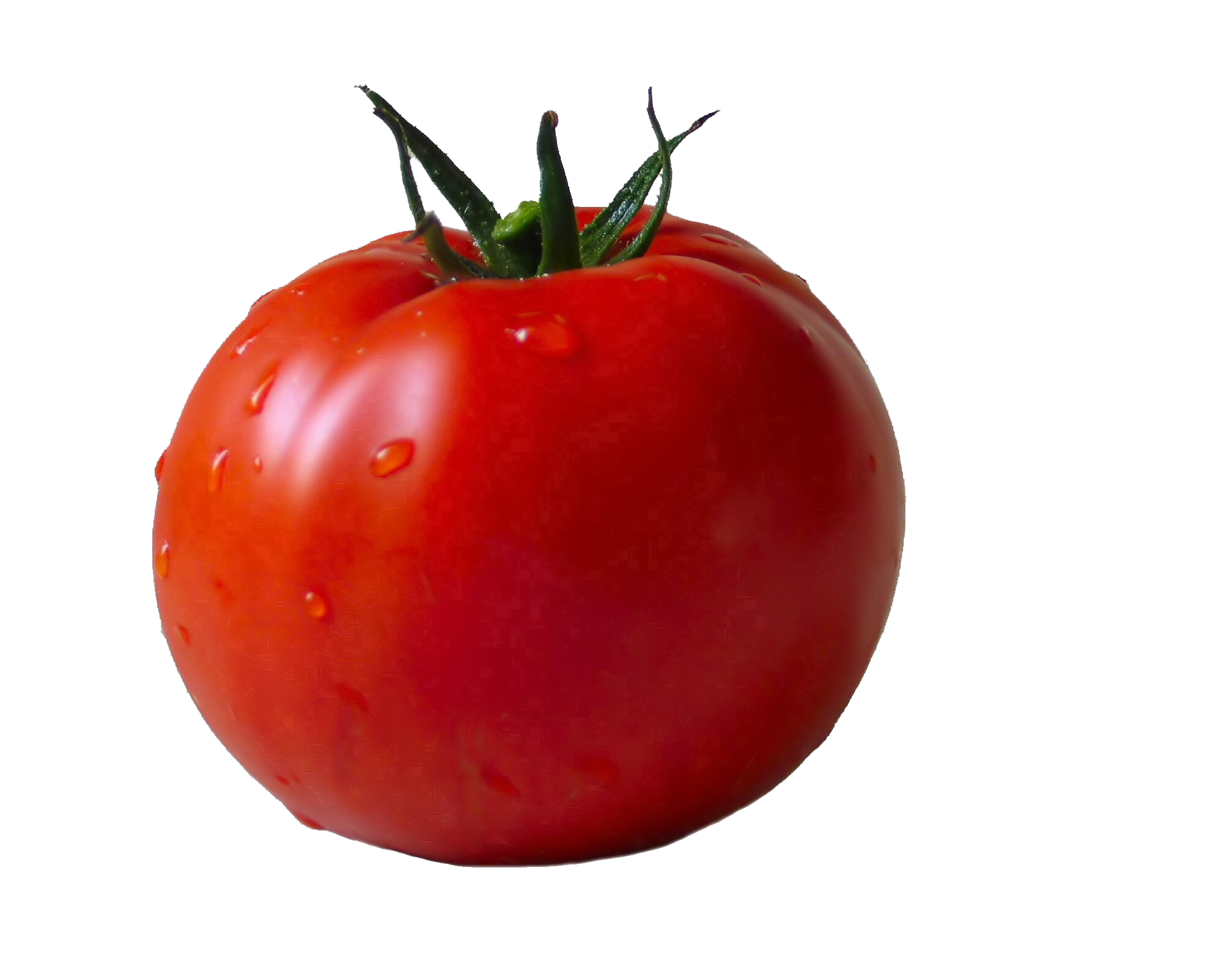 Pin by arron eiesland. Tomatoes clipart bright red