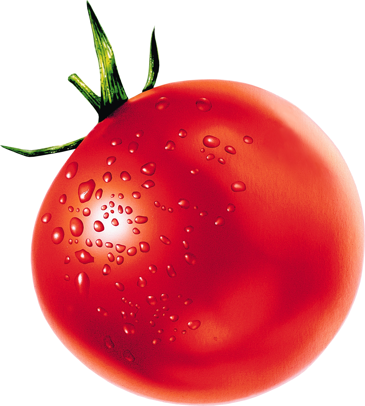 Tomatoes cartoon