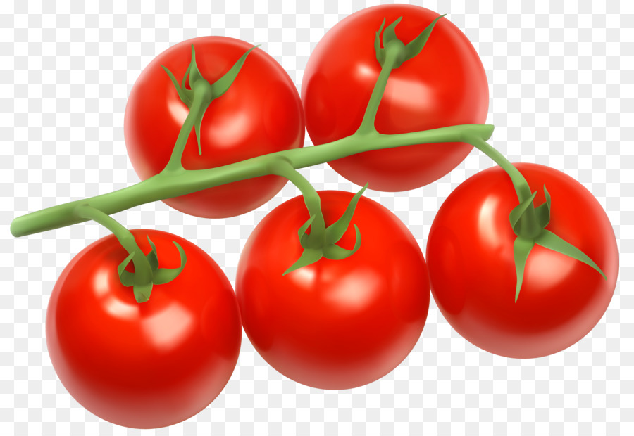 tomatoes clipart cherry tomato