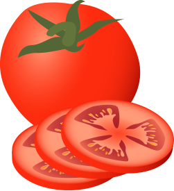 tomatoes clipart chopped tomato