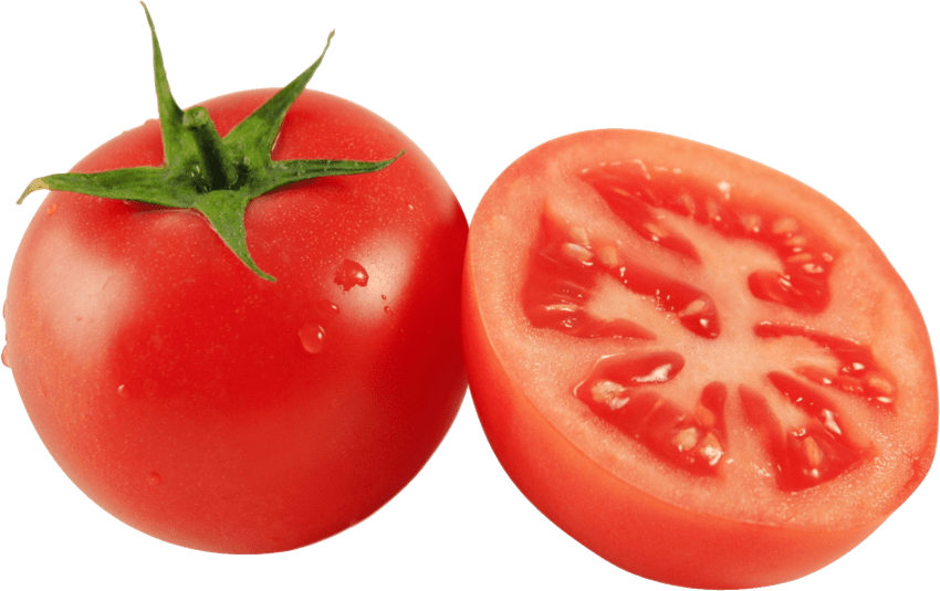 tomatoes clipart file