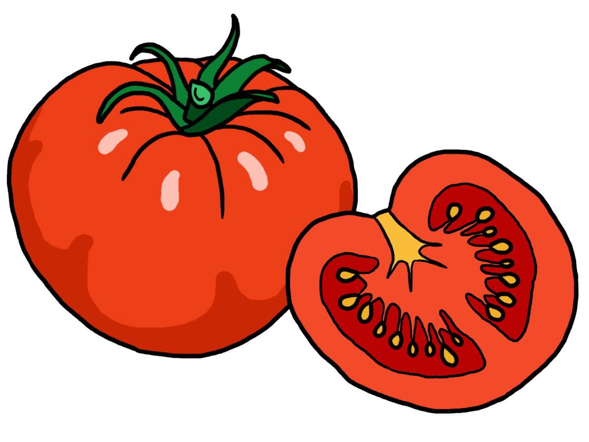 tomatoes clipart food