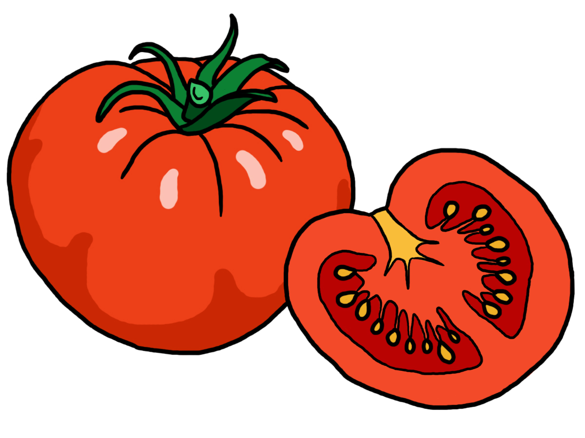 Free download best on. Tomatoes clipart food