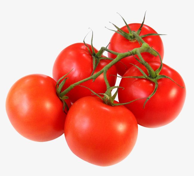 tomatoes clipart food