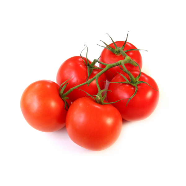 tomatoes clipart fresh