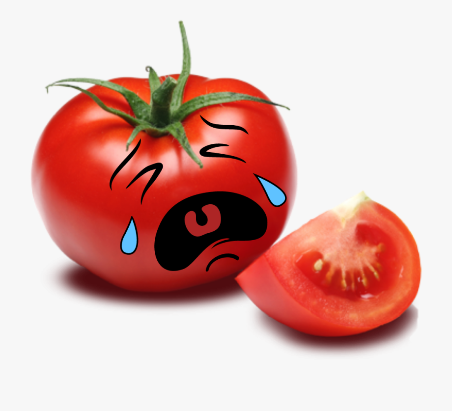 tomatoes clipart fun