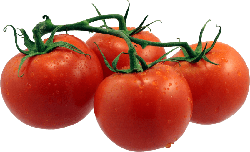 Tomatoes grape tomato