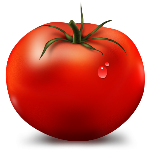 tomatoes clipart icon