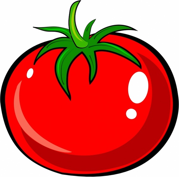 tomatoes clipart illustrator