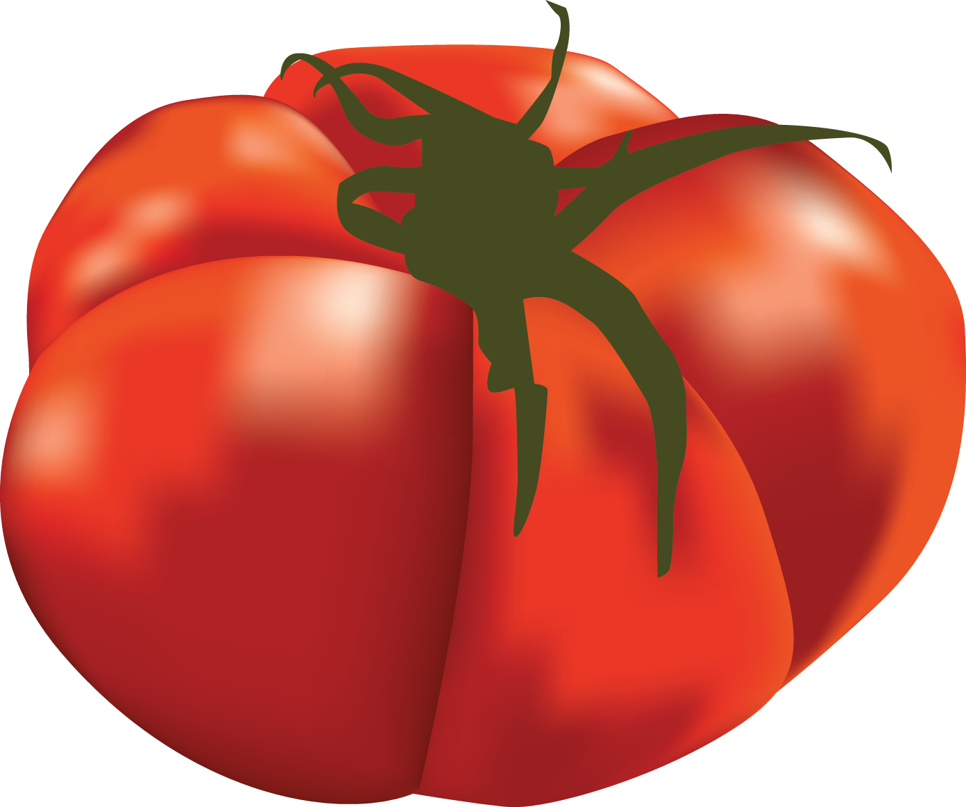 tomatoes clipart individual fruit