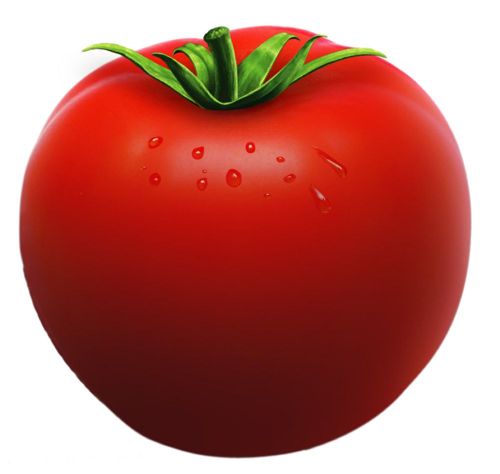 Tomato tomatoclipart vegetable clip. Tomatoes clipart maximum