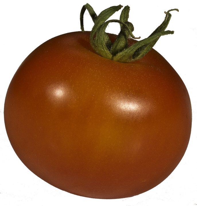 Tomatoes clipart maximum. Free photo tomato solanum