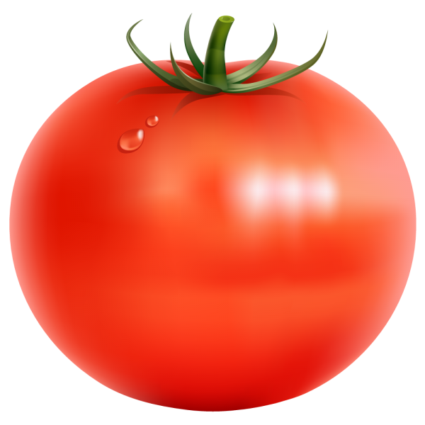 tomatoes clipart maximum