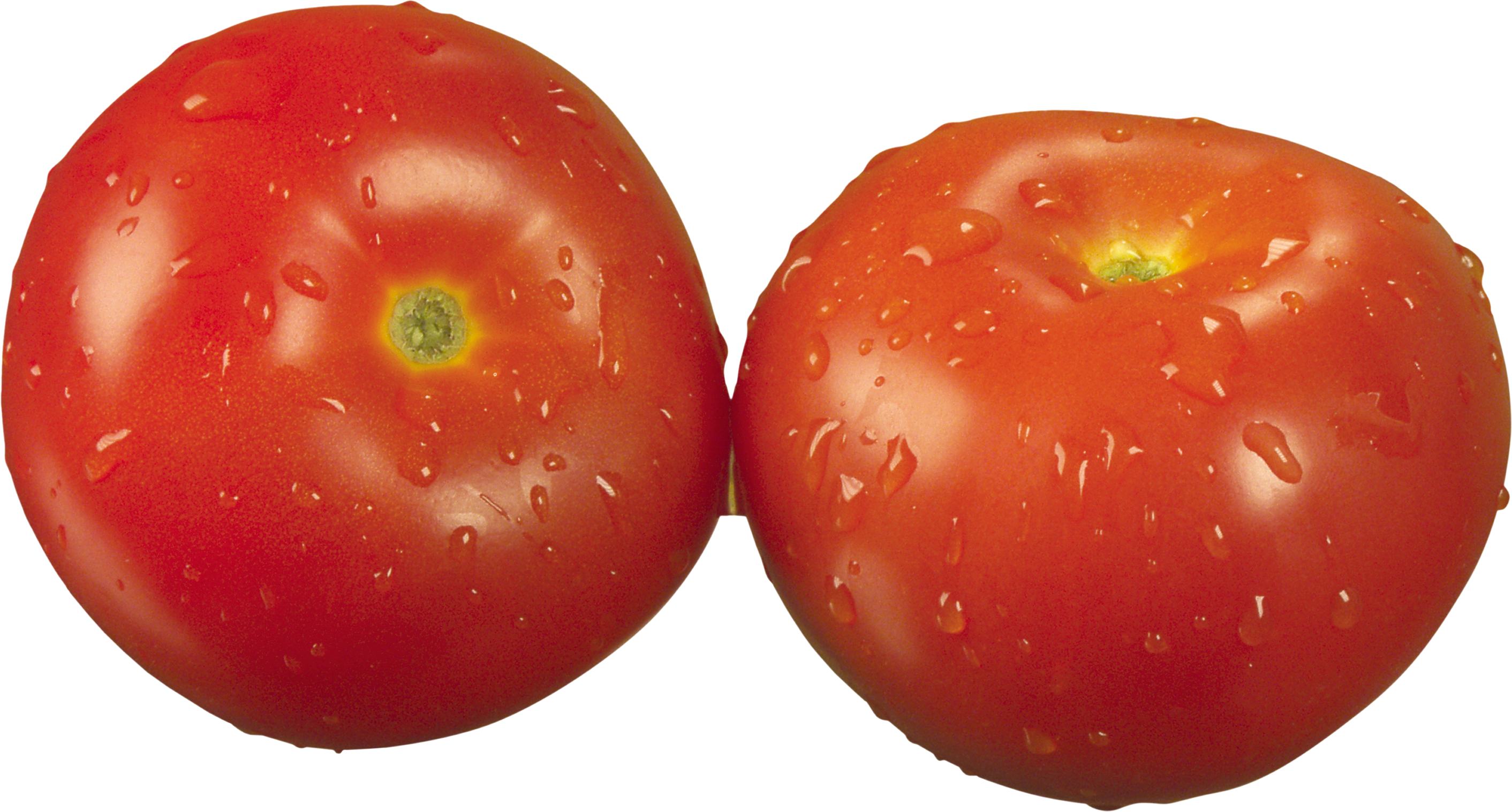 tomatoes clipart mini
