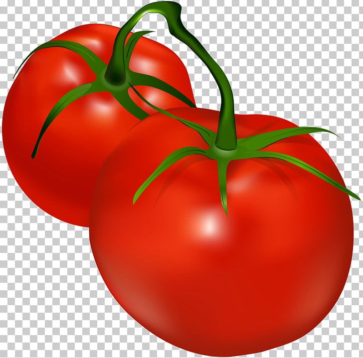 tomatoes clipart one