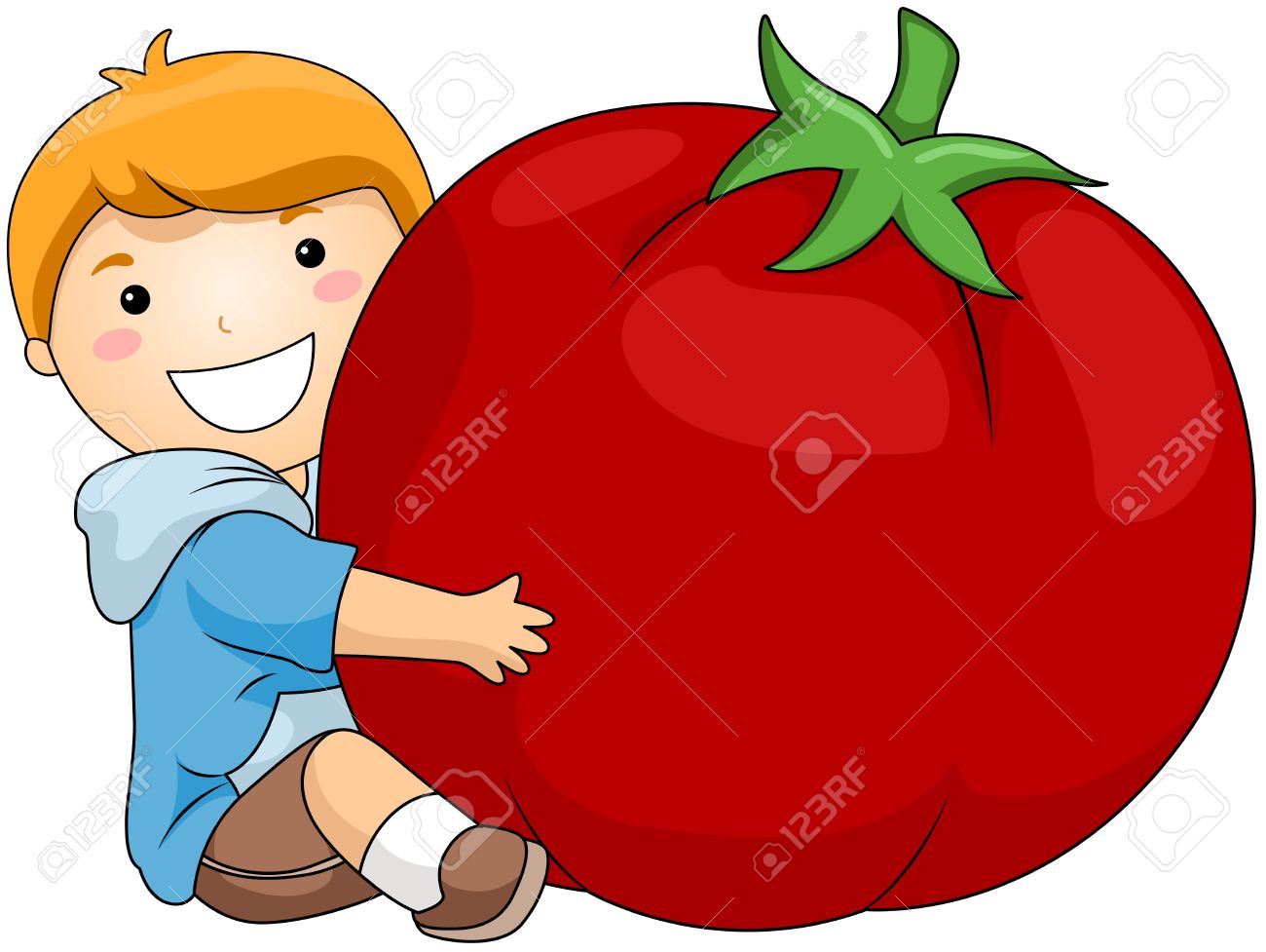 tomatoes clipart real