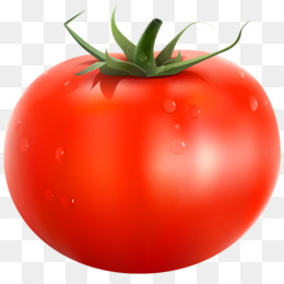 tomatoes clipart real