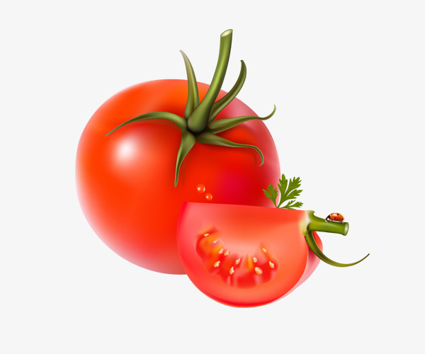 Png vectors psd and. Tomatoes clipart ripe