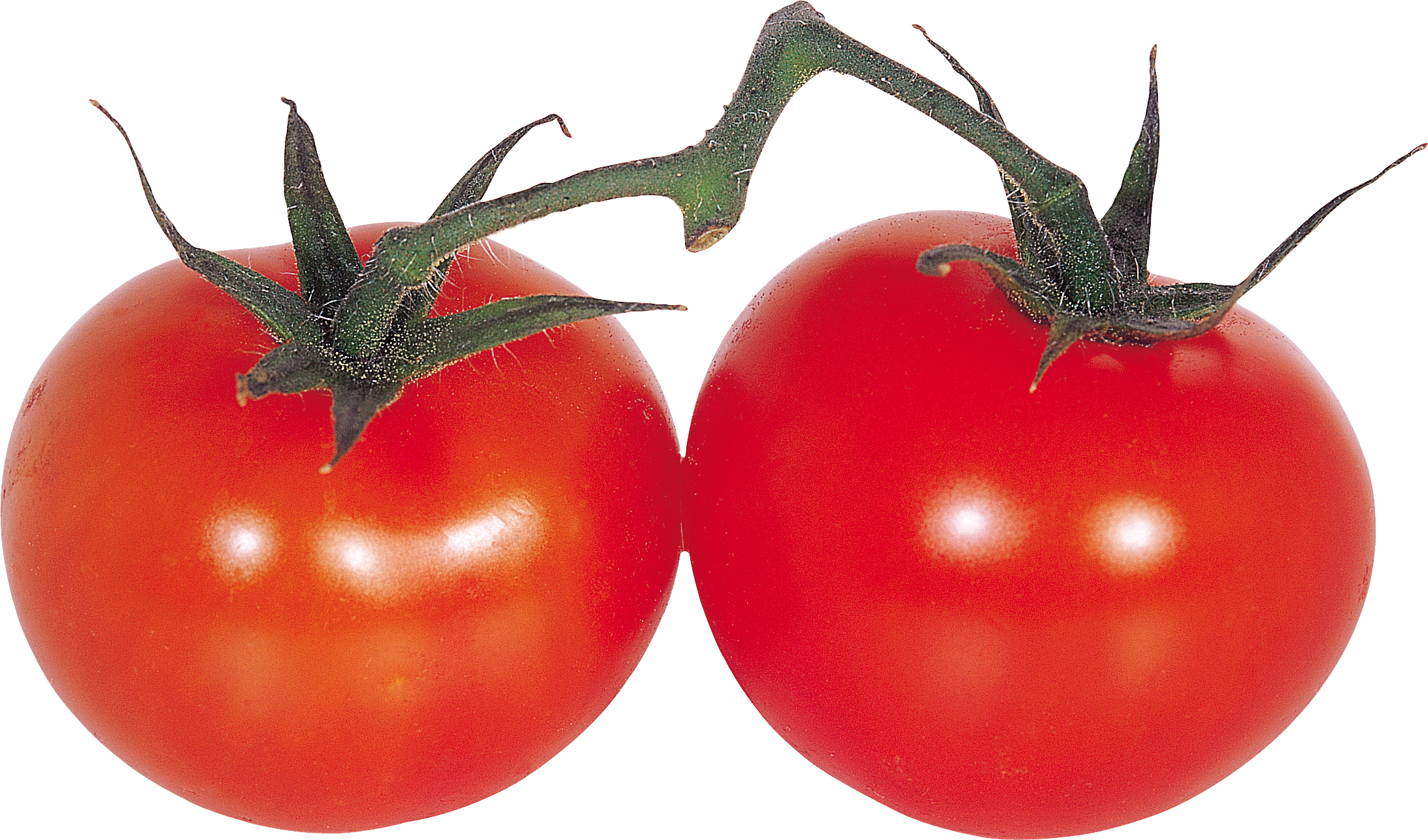 tomatoes clipart sad tomato