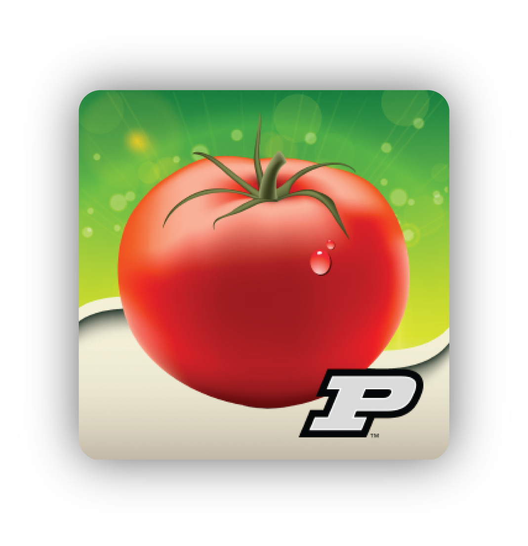 Purdue doctor app suite. Tomatoes clipart shrub plant