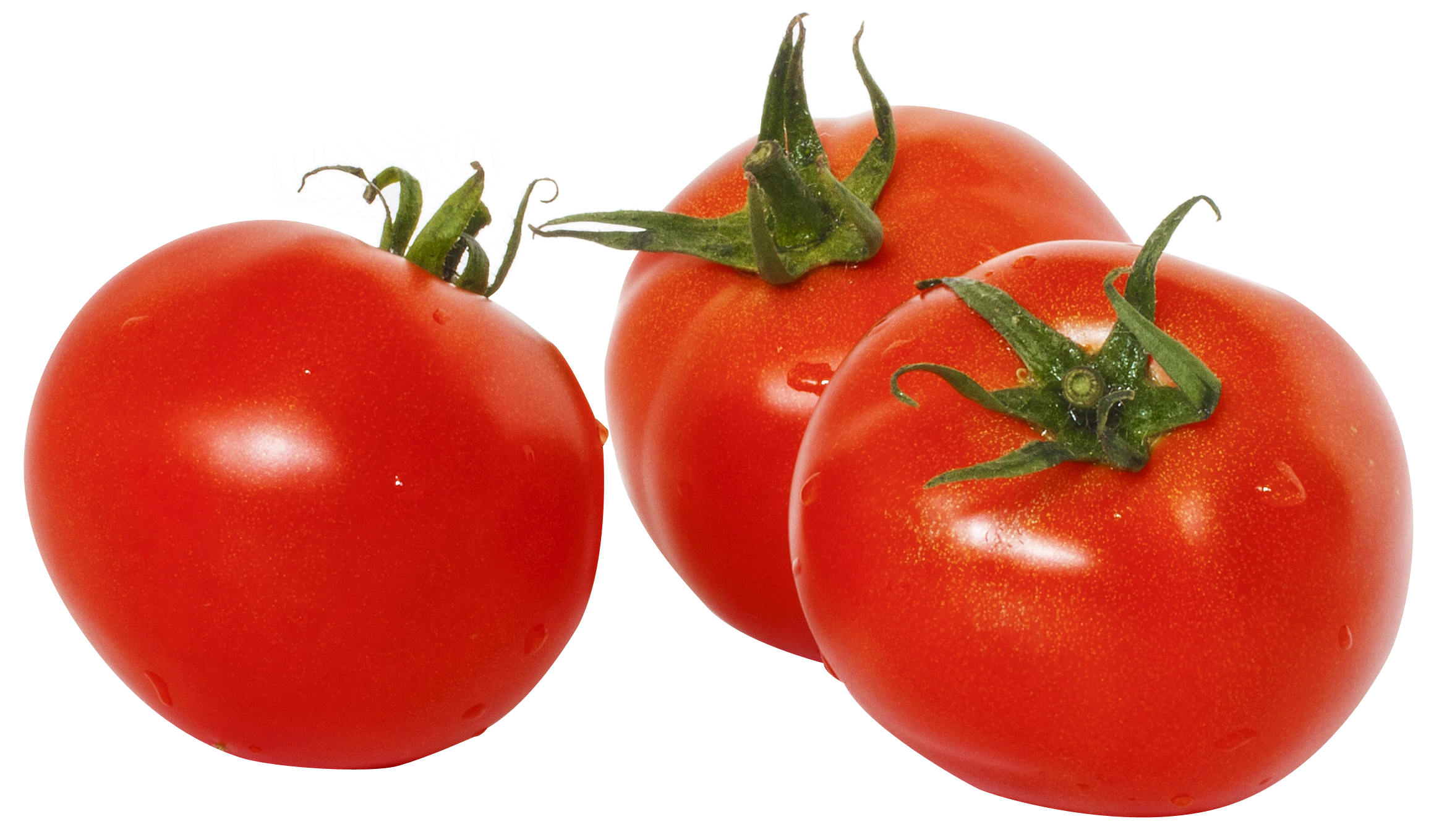 tomatoes clipart similar object