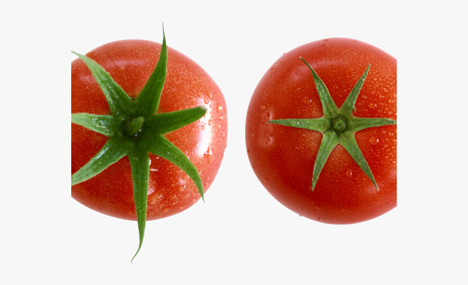 tomatoes clipart similar object