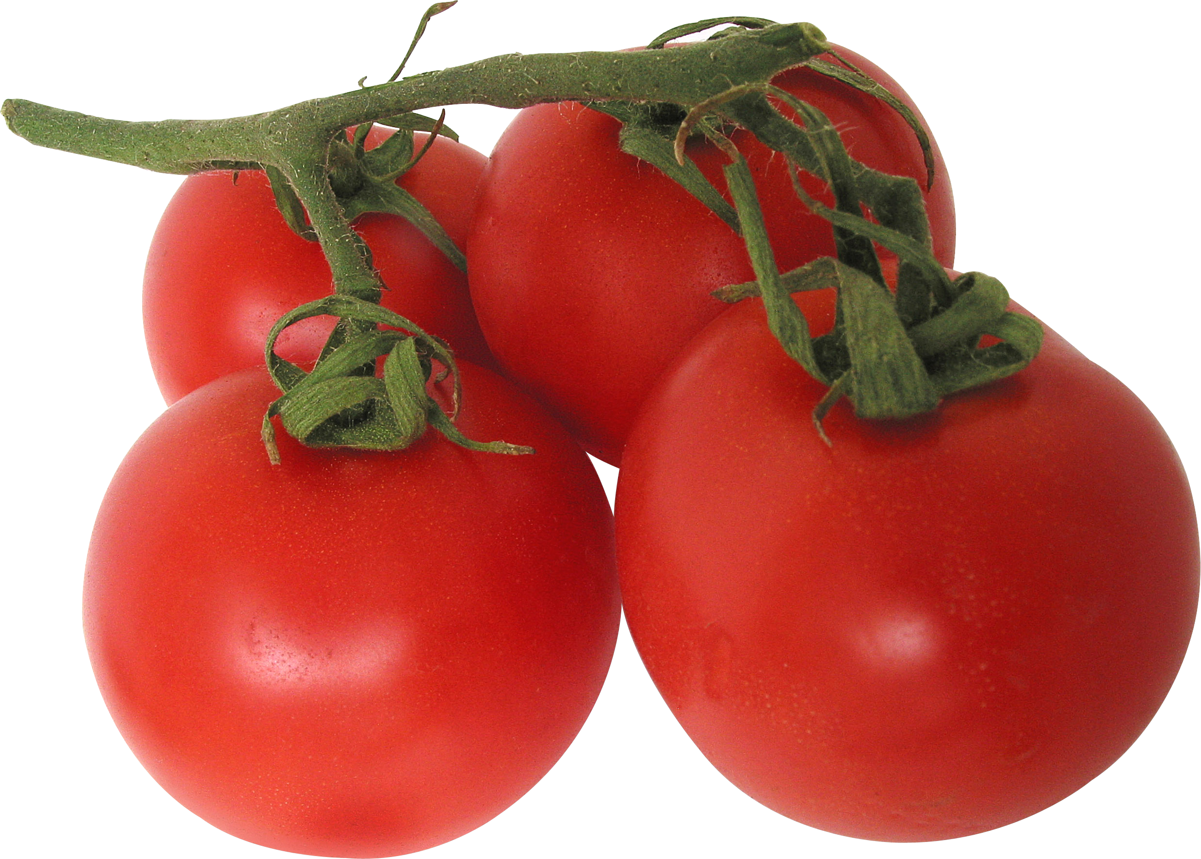 Tomatoes clipart small tomato. Red png image purepng