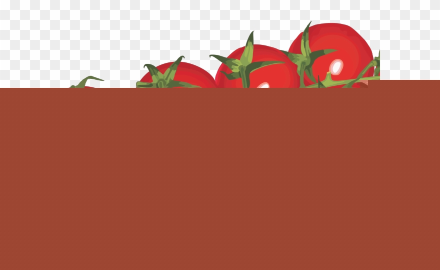 Tomatoes clipart small tomato. Cherry transparent background png