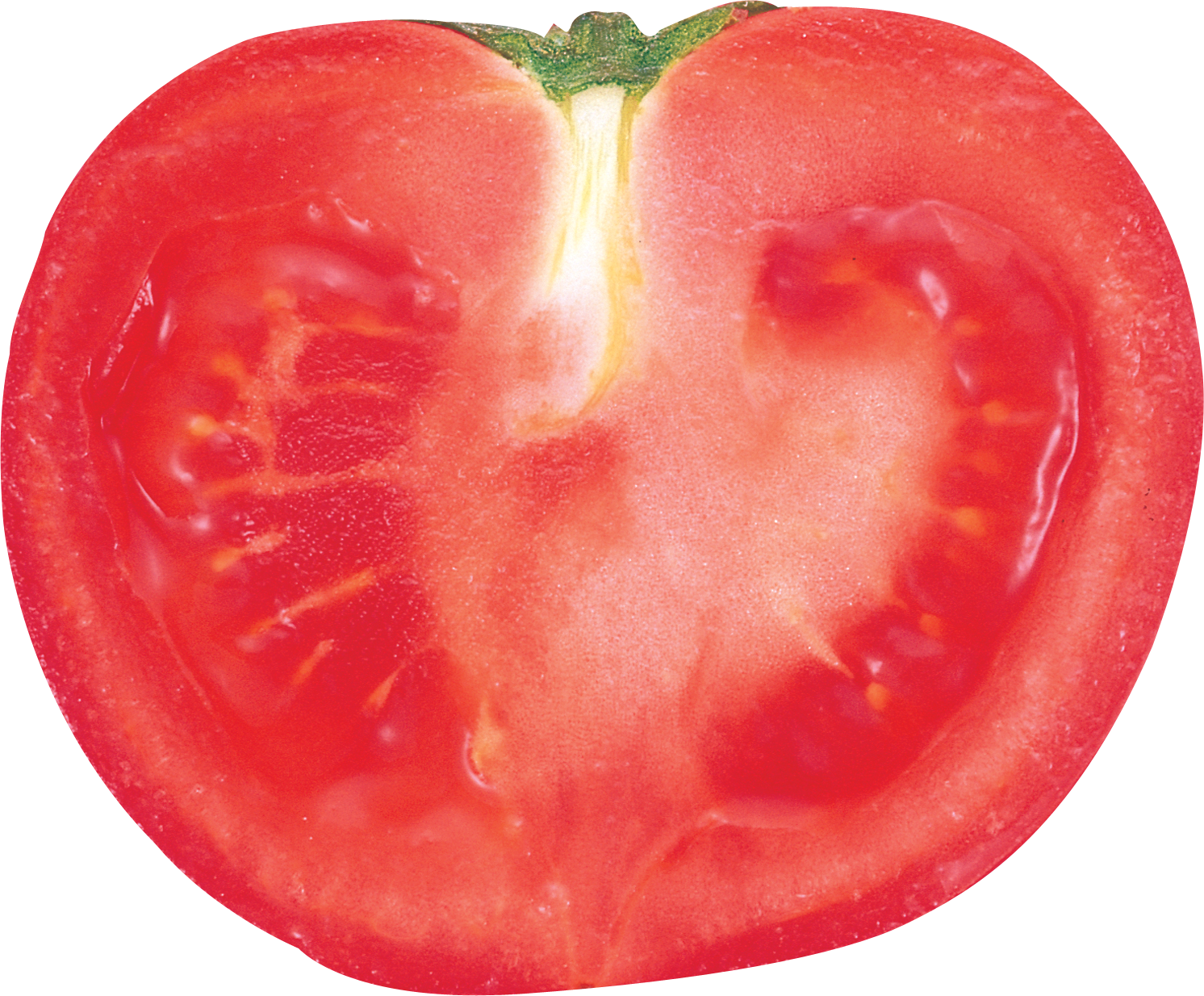 tomatoes clipart tamatar