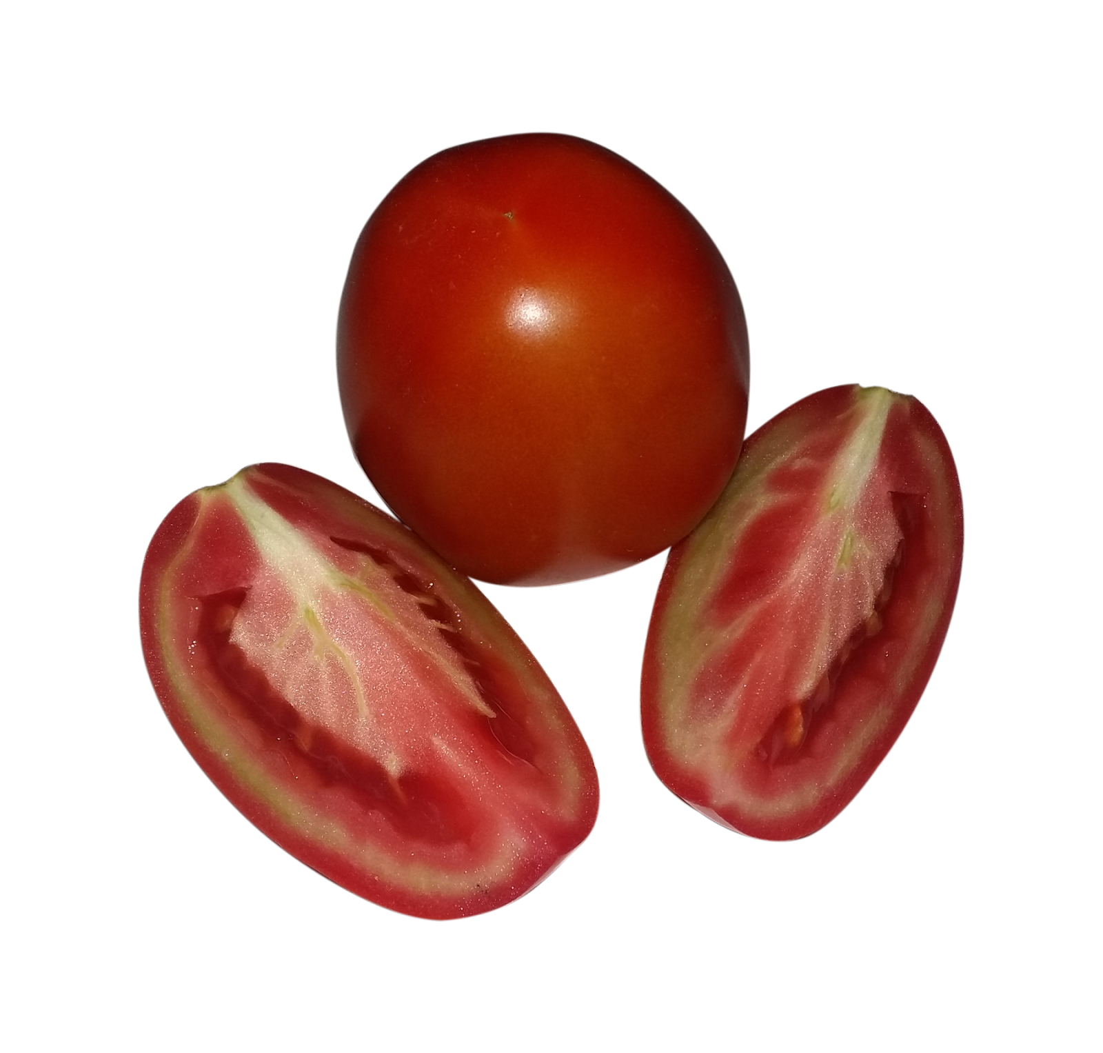 tomatoes clipart tamatar