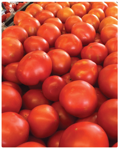tomatoes clipart tomato farmer
