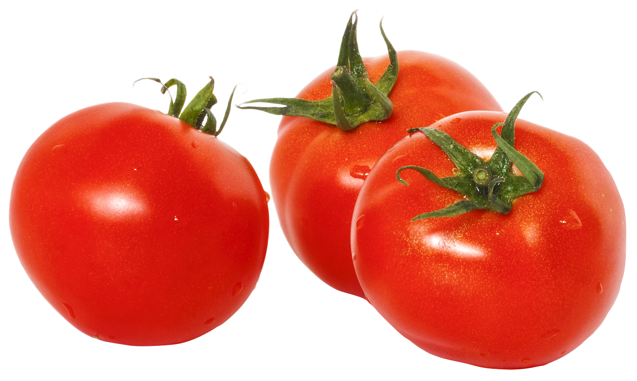 tomatoes clipart tomato leaf