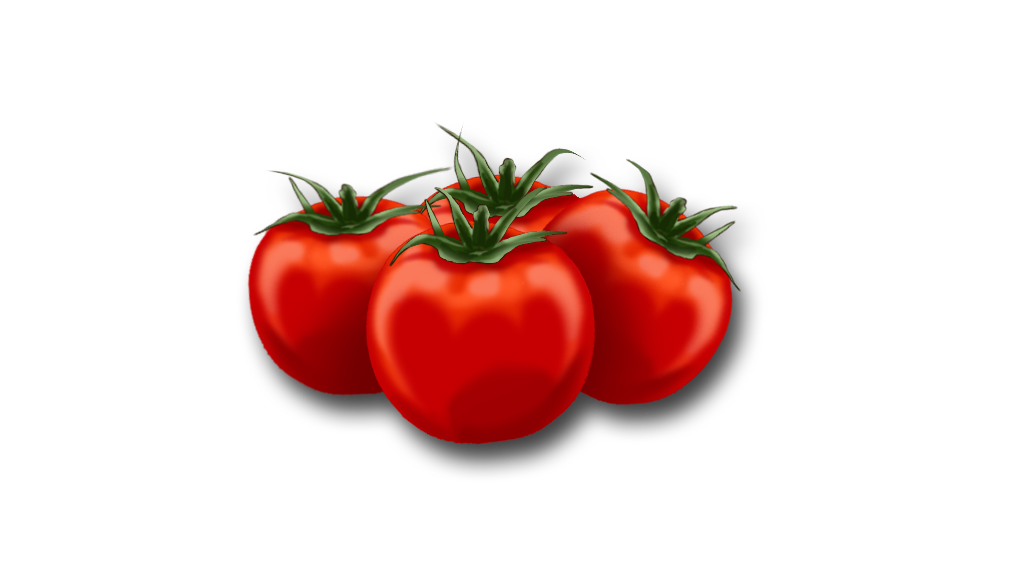 tomatoes clipart tomato outline