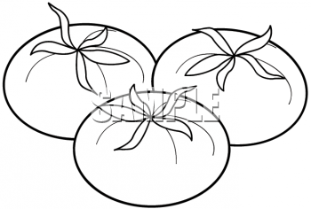tomatoes clipart tomato outline