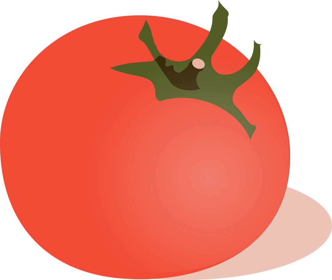 Farm know your. Tomatoes clipart tomato seed