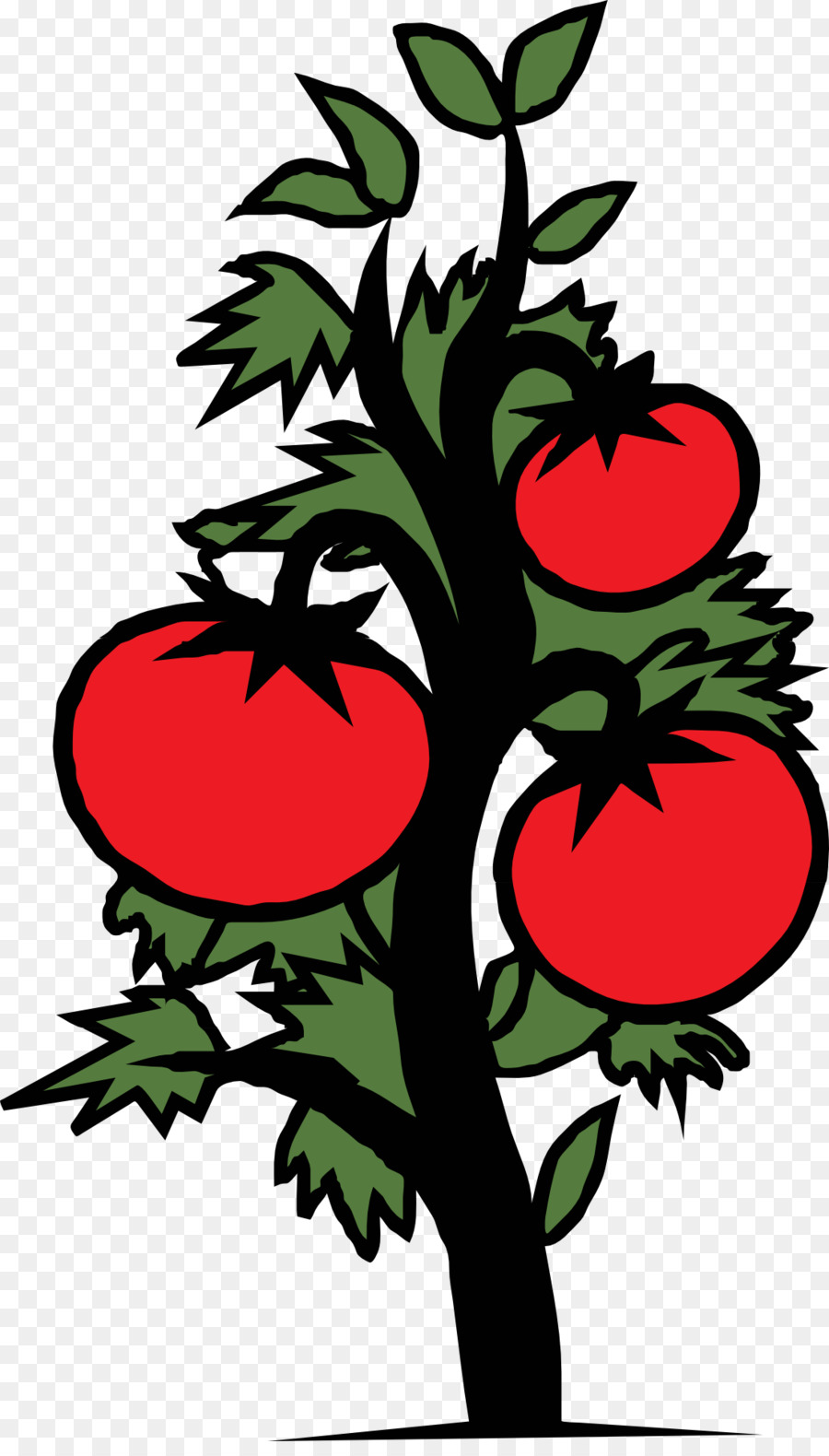 tomatoes clipart tomato stem