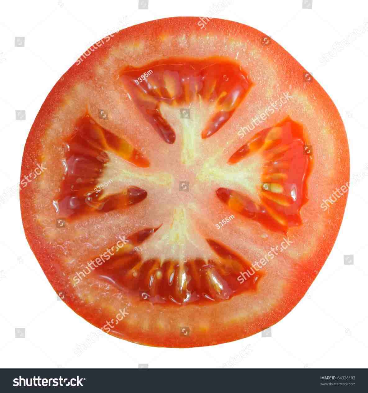 tomatoes clipart tomato wedge